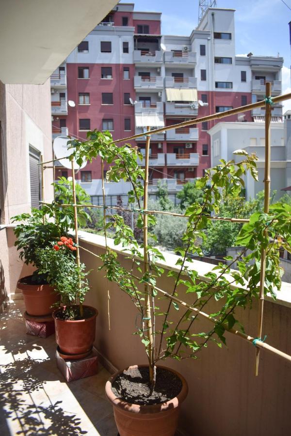 New Apartment Zoe Shkodra Exterior foto
